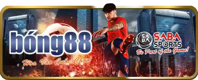 So sánh ưu đãi betvnd8 chính thức với đối thủ