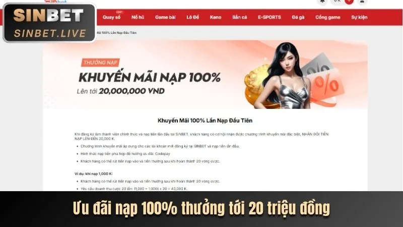 Hoàn trả hàng ngày/tuần tại betvnd8 chính thức